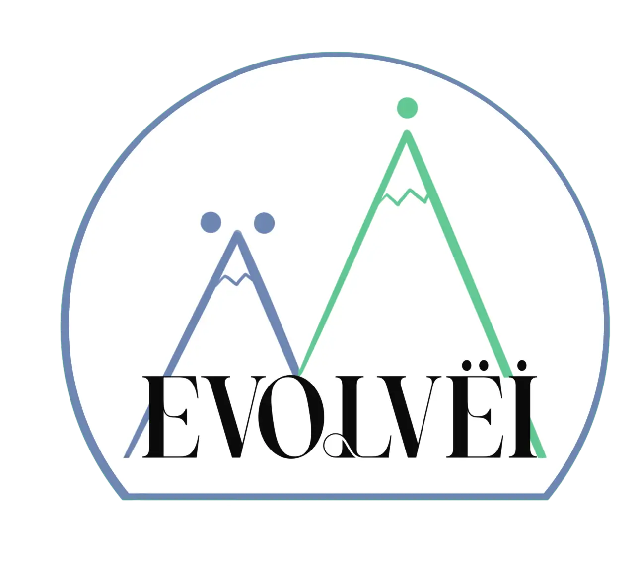 evolvei.fr